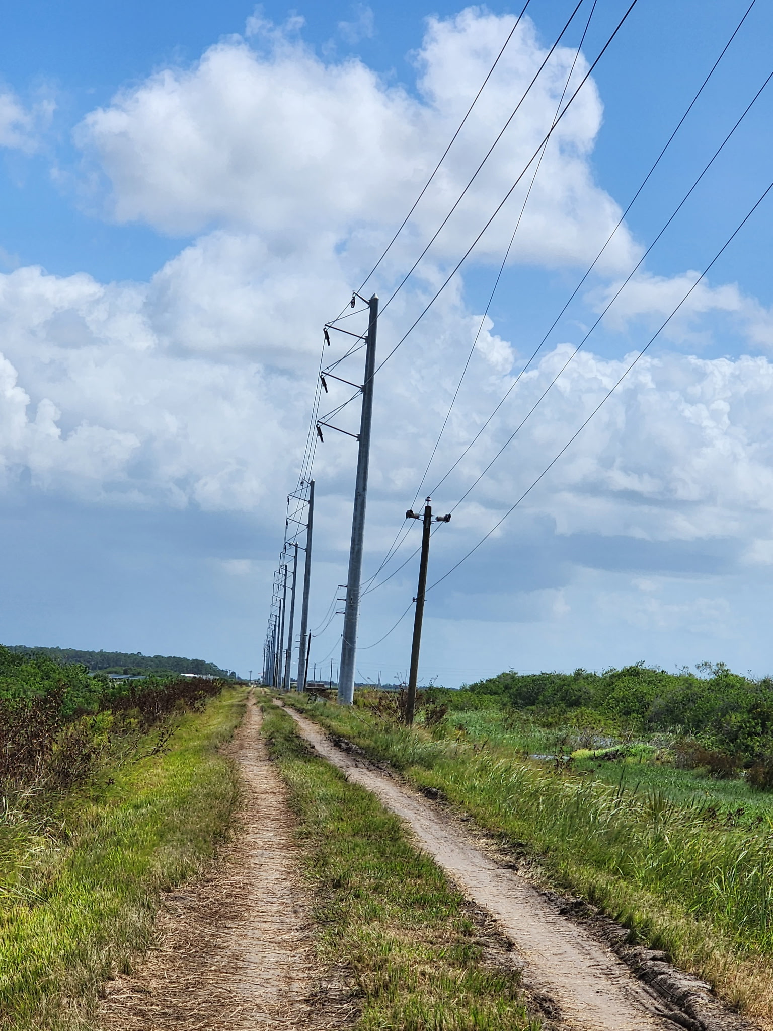 Electrical Transmission Installation 16