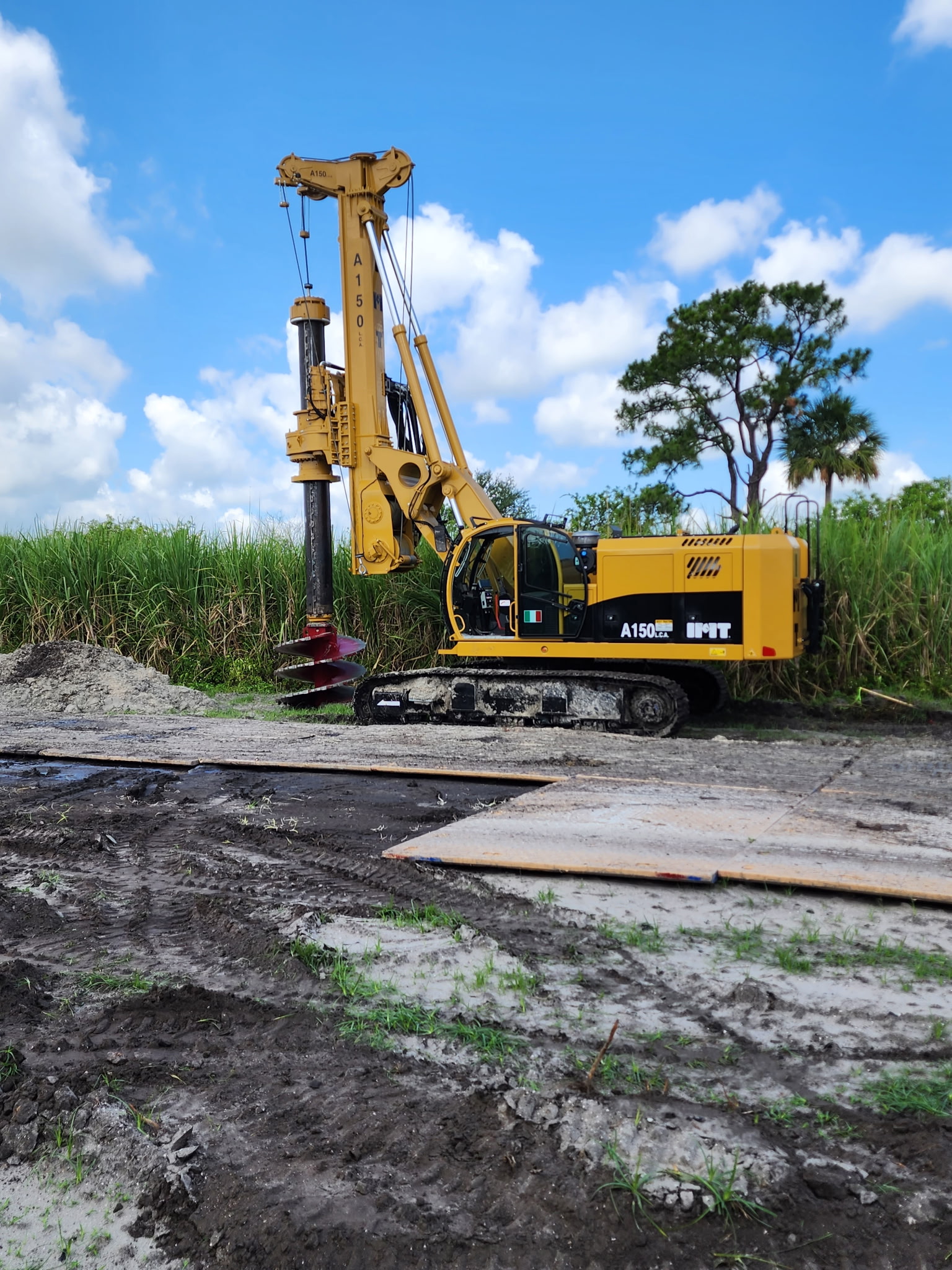 Matting Site Services 4
