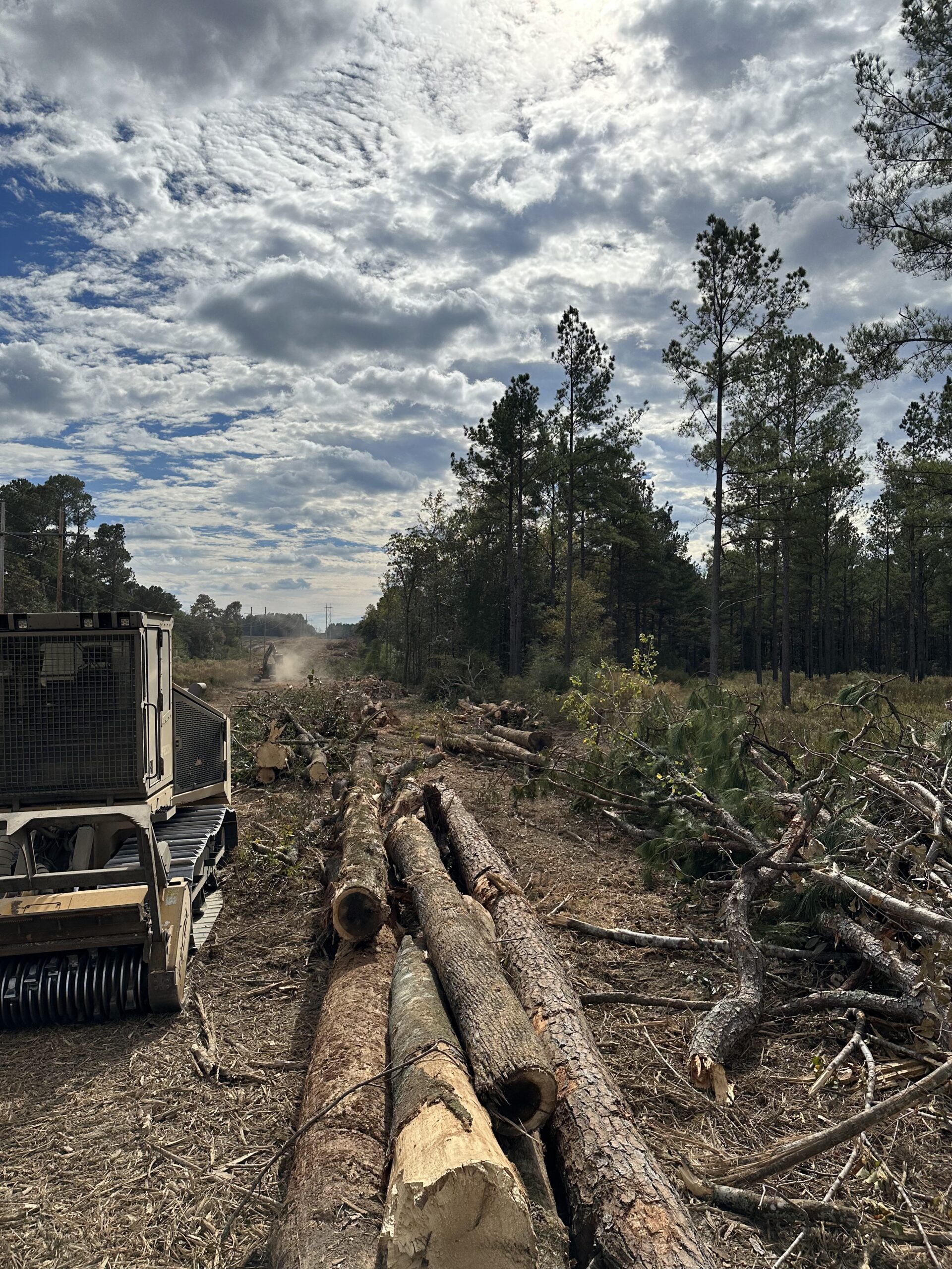 Blew Bayou Services project photo