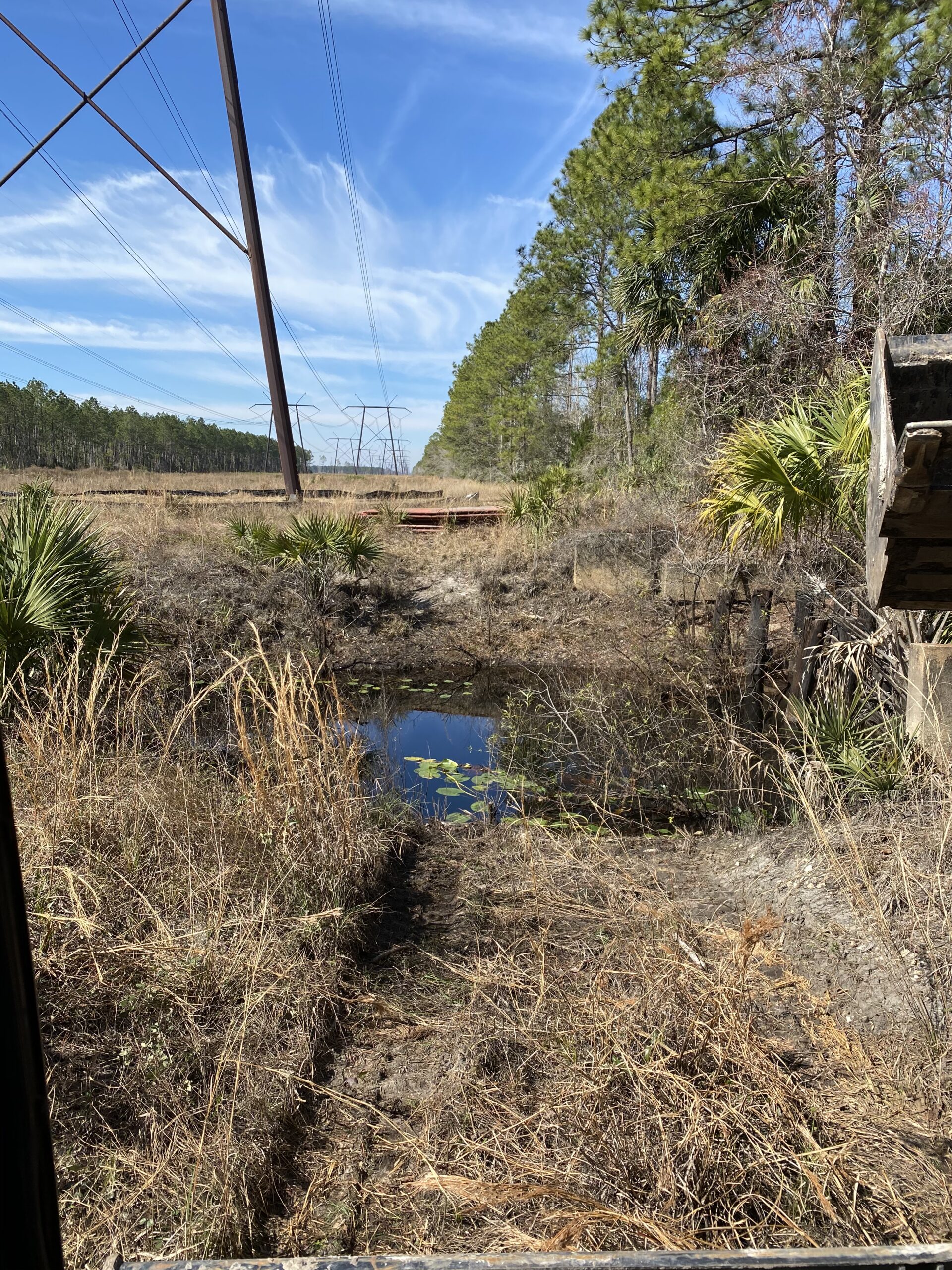 Blew Bayou Services project photo