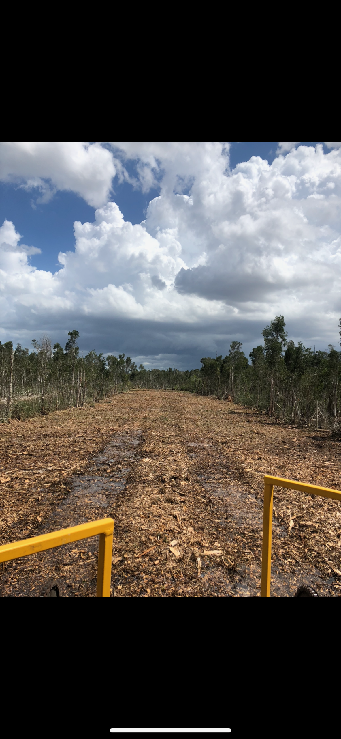 Blew Bayou Services project photo