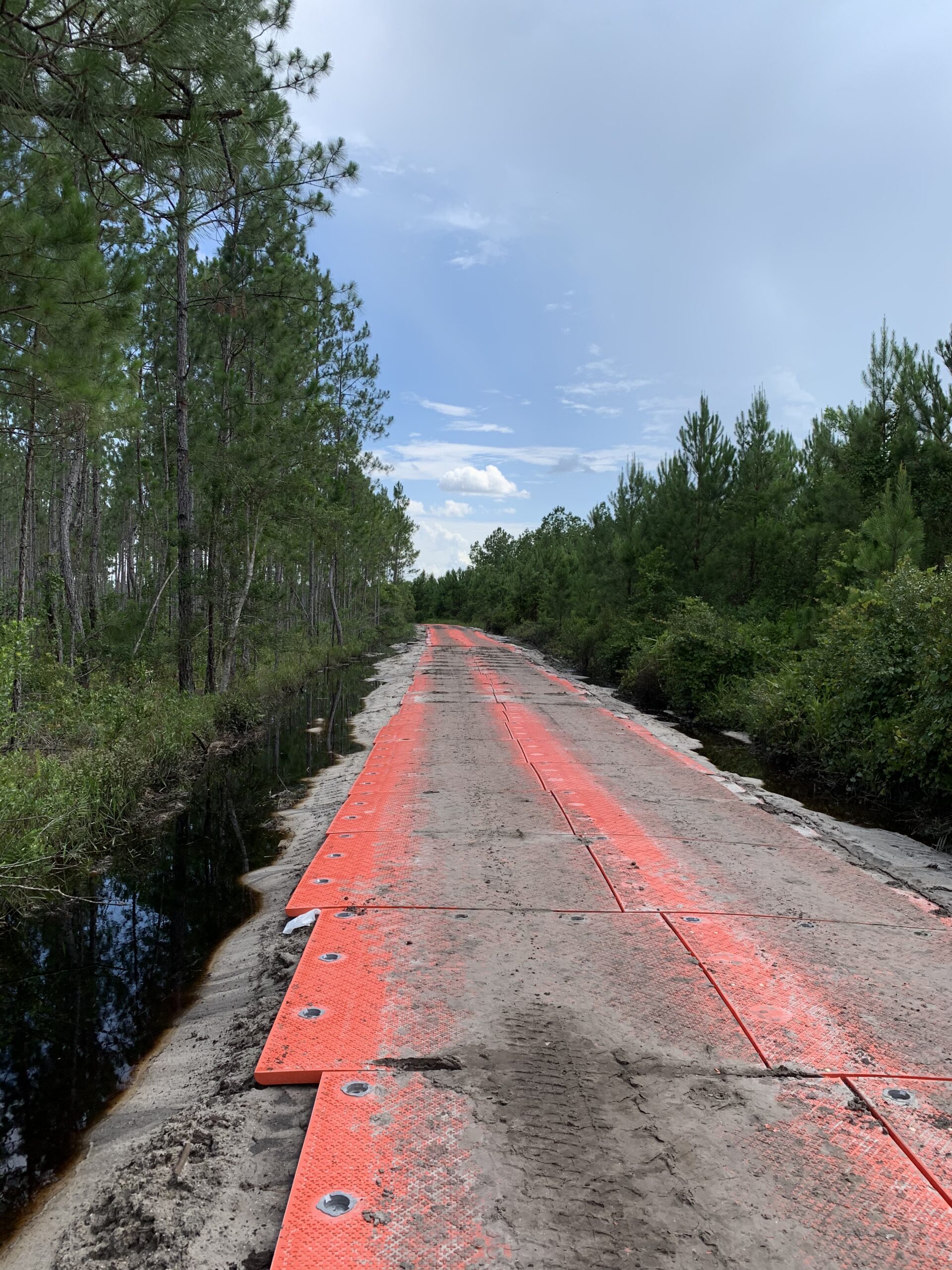 Blew Bayou Services project photo