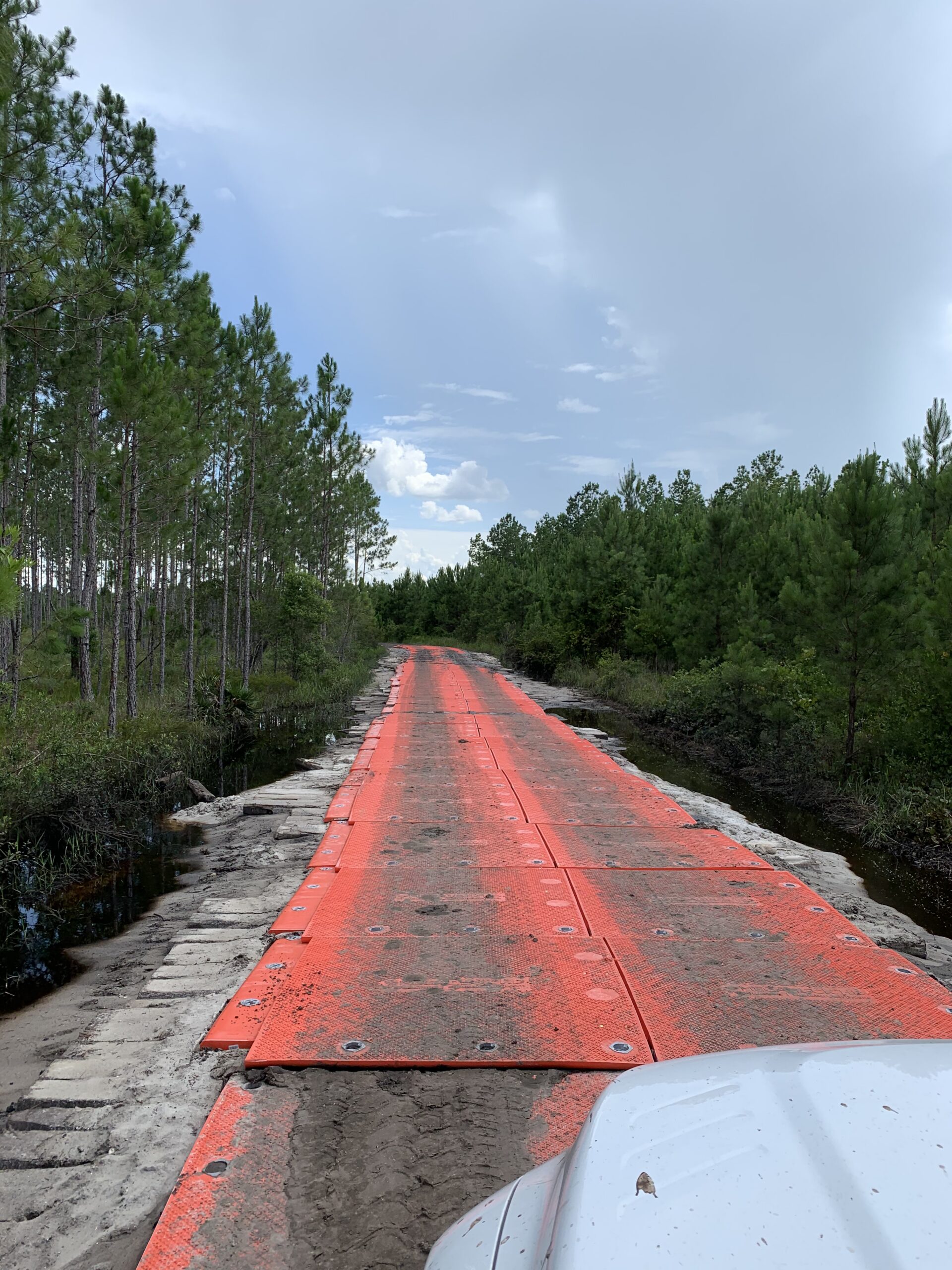 Blew Bayou Services project photo